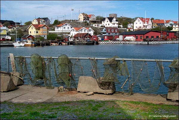 P0008353