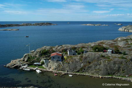 P0011567