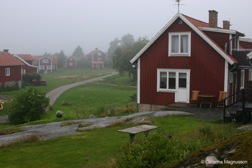 IMG_8000