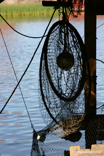 IMG_8566